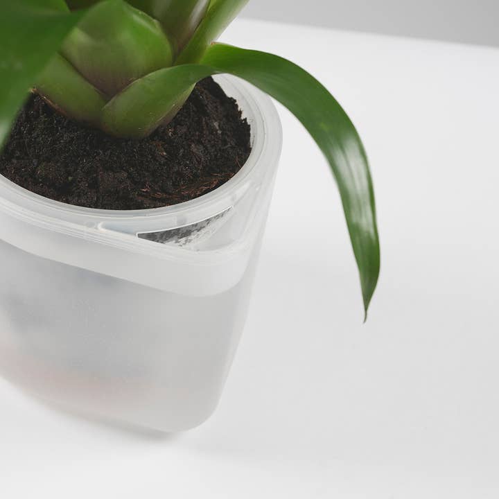 Boskke - Vente Pot - Till Planter - Triple - pot de fleurs auto-arrosage3