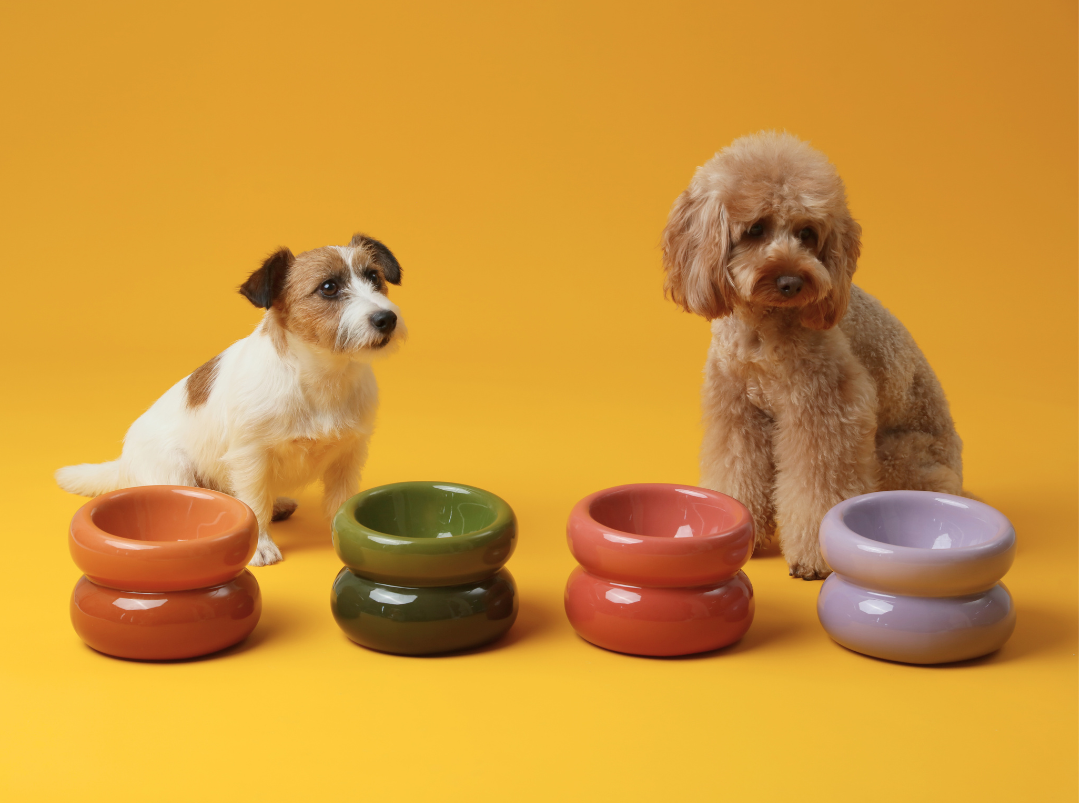 PEHOM - Wholesale Pet Bowl - Cat/Dog - Soufflé Pet Bowl - Purple8