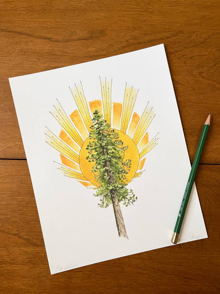 DRAFT Pine Tree and Sunburst Watercolor Art Print for wholesale by Hannah Moore Art