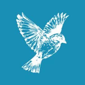 Crystal Candy Mini-Schablonen aus Netzstoff — für den Großhandel von Crystal Candy Unique Cake Decorations