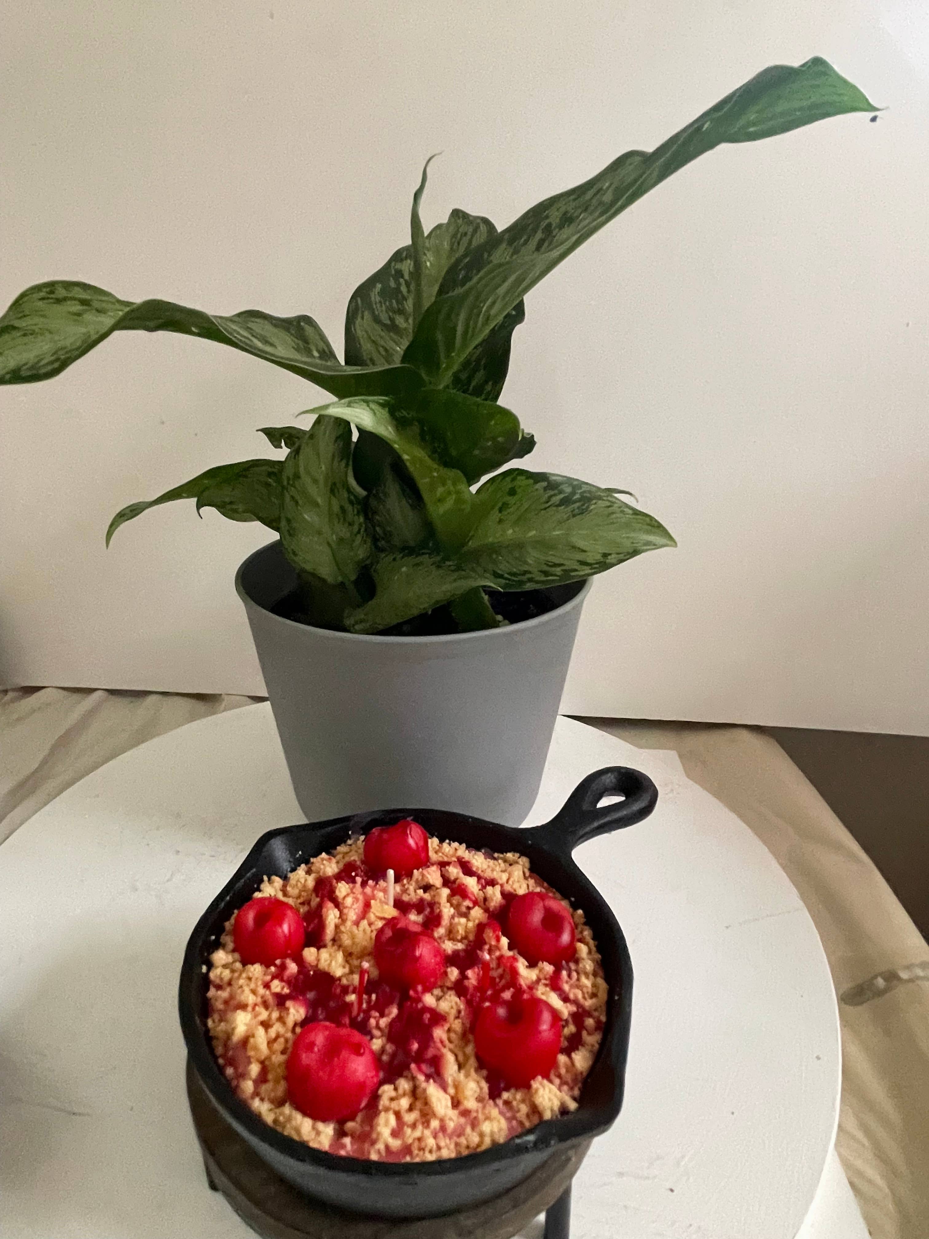 Wicks and Gifts - Wholesale Novelty Candle - 8 oz Cherry Cobbler Iron Skillet Candle2