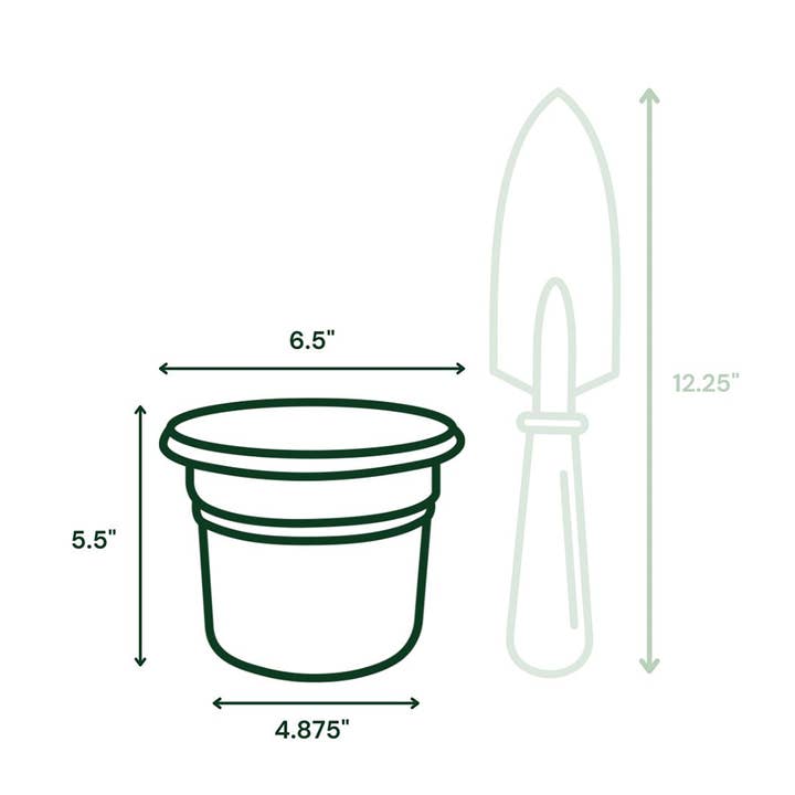Bloem - Wholesale Plant Pot - Posy Plastic Planter Pot - Small Sizes3