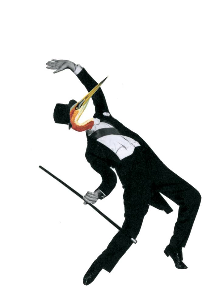 Celebrate! It's your birthday! for wholesale by Rare Bird