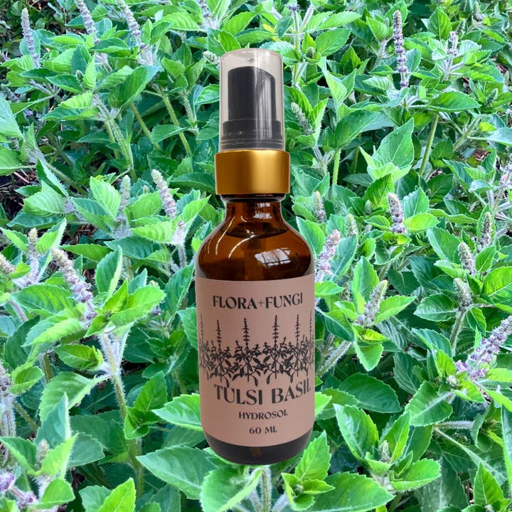 Small Batch Artisan Distilled Tulsi Basil Hydrosol for wholesale by Flora+Fungi Apothecary
