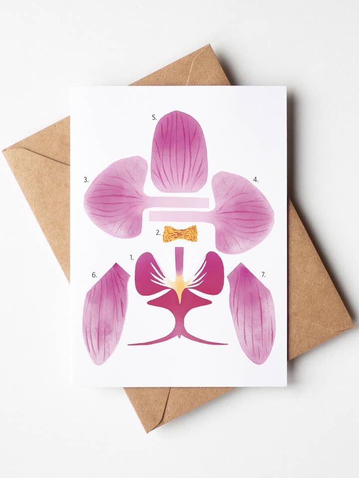 DIY Paper Orchid Flower Card for wholesale by Hannah Moore Art