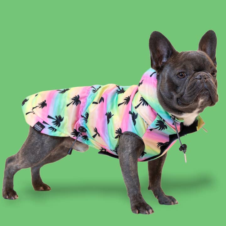 The Springs - Raincoat for wholesale by The Long Dog Clothing Co.