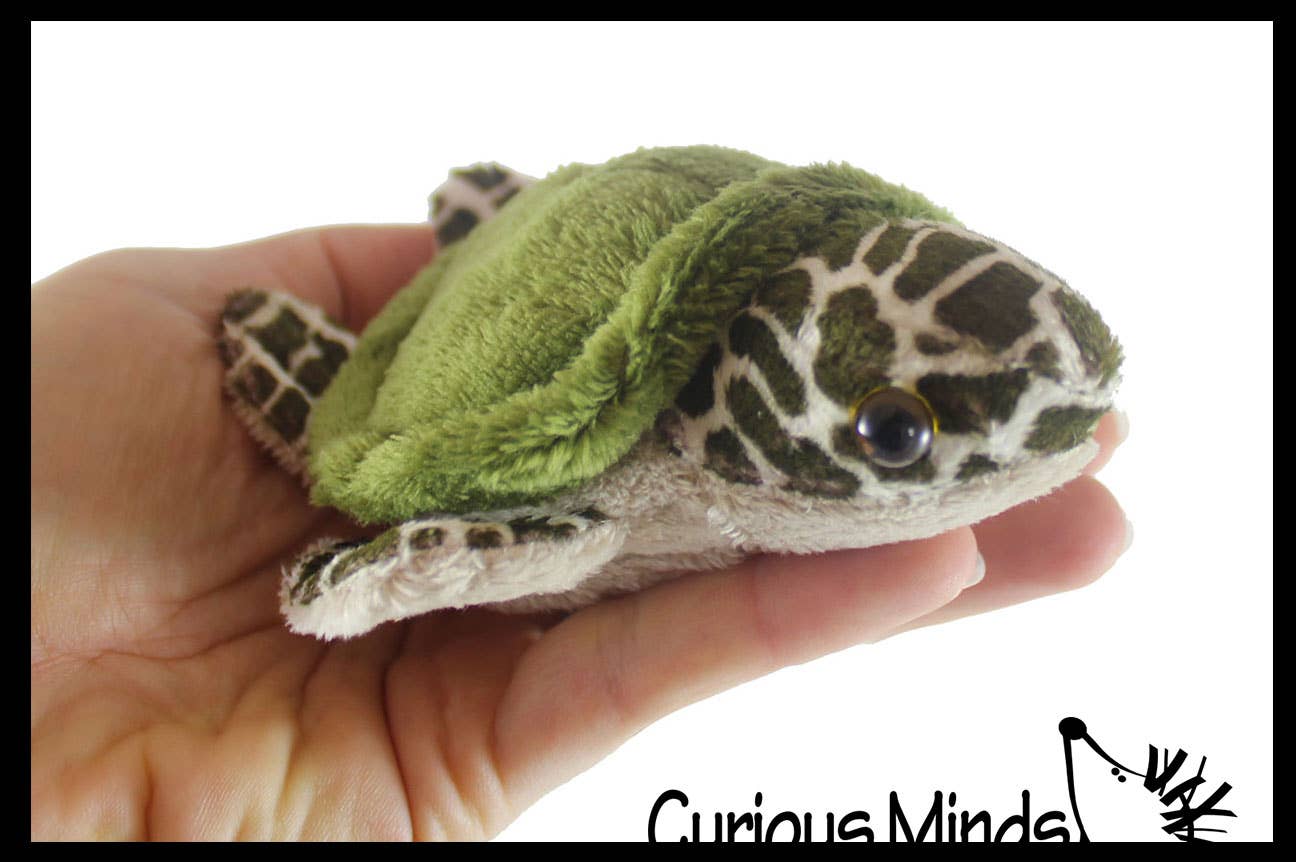 Curious Minds Toys - Wholesale Stuffed/Plush Toy - Kids & Baby - 1 Cute Small Turtle Plush Stuffed Animals- Adorable Tiny Min1