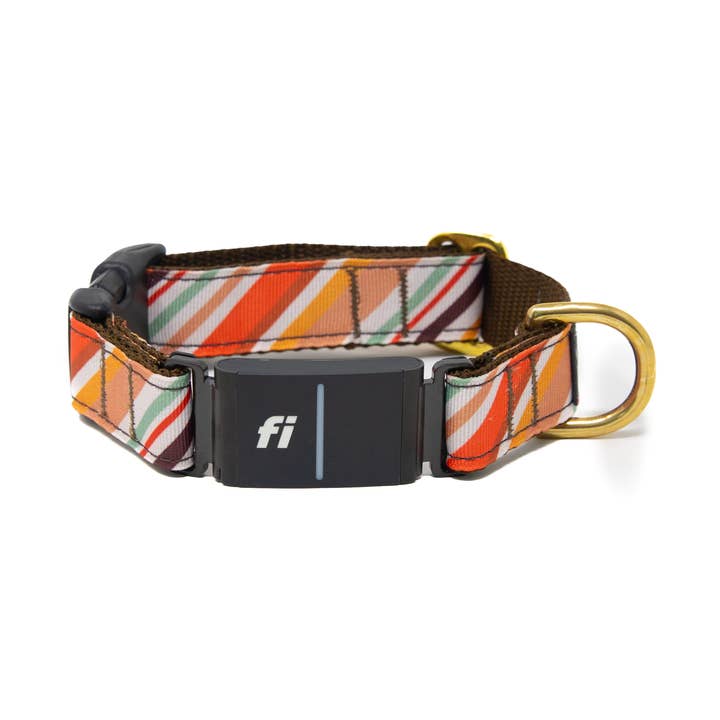 Fi Collar Band - Oak Pup for wholesale by LUCKY + DOG