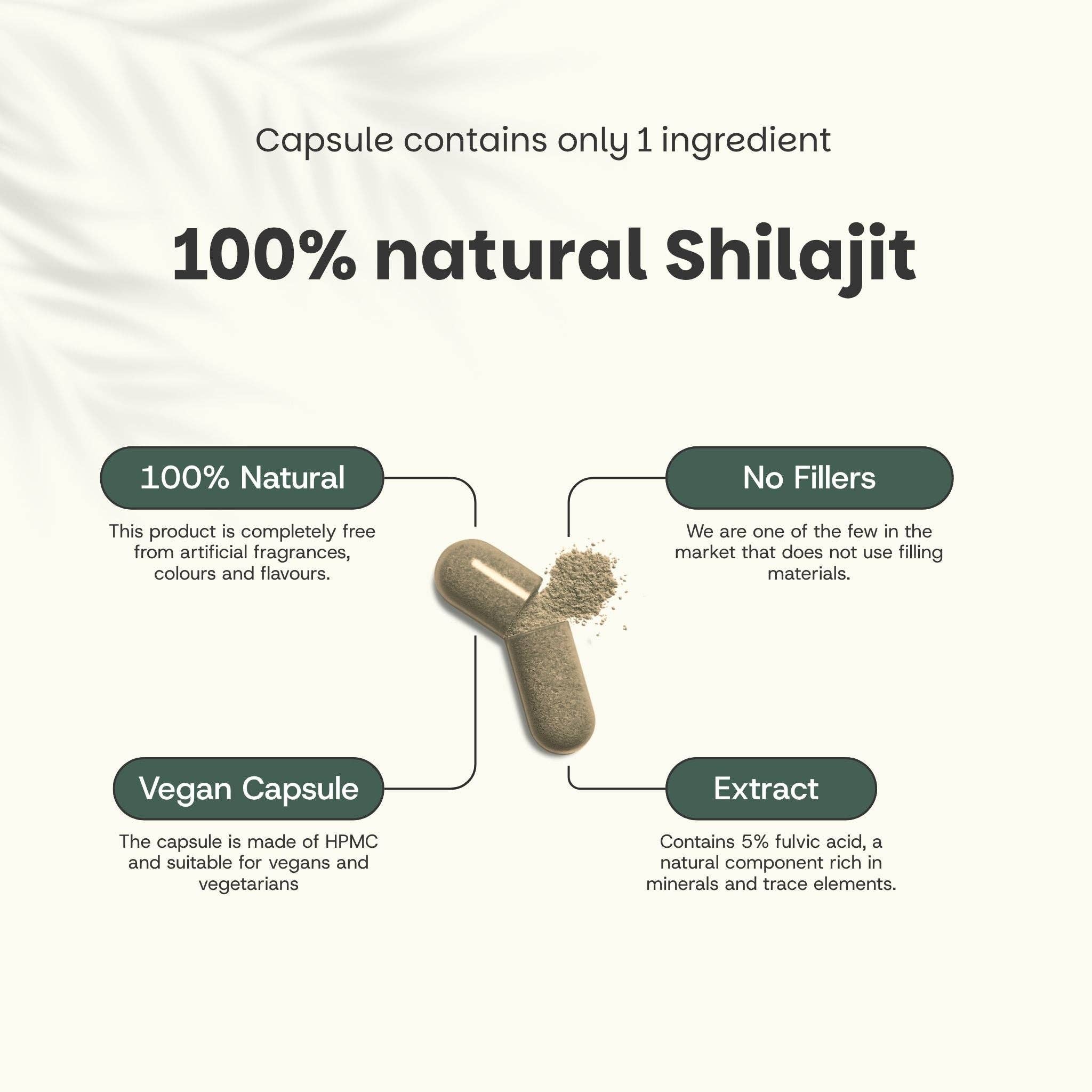 Cupplement b.v. – Suplemento/vitamina oral por atacado – Cápsulas de Extrato de Shilajit (5%) 500 mg 60 Cápsulas2