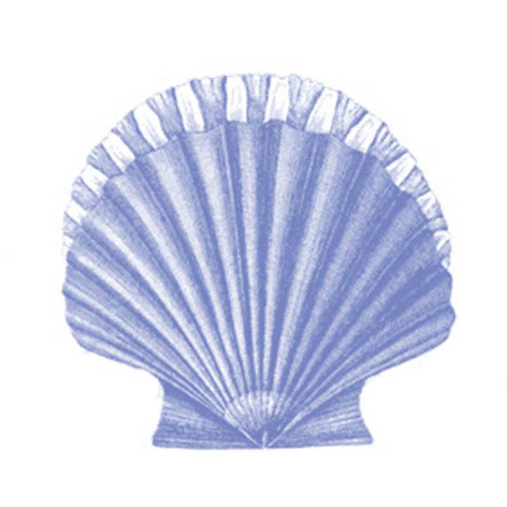 Scallop Shell for wholesale by Bien Ecrit