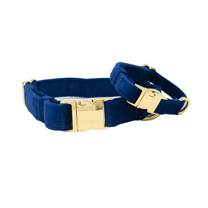 Channing Dog Collar | Blue Dog Collar | Dog Collar for wholesale by Pink Papyrus | Premium, Durable, & Stylish Dog Products