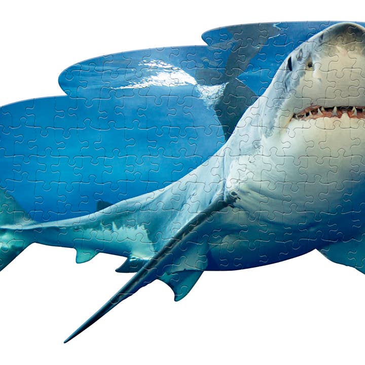 PUZZLE DISPLAY - Lil Shark 100pc for wholesale by Madd Capp Games & Puzzles