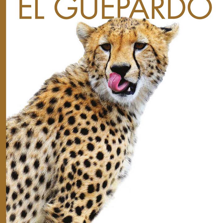 The Creative Company - Wholesale Nature & Outdoors - Planeta animal: El guepardo3