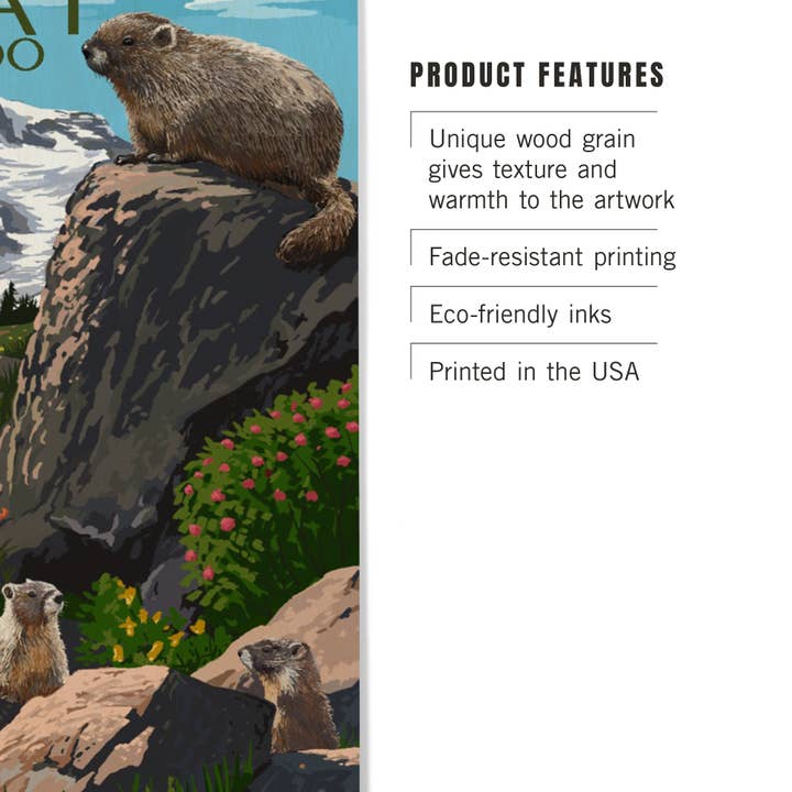 Lantern Press - Wholesale Wood Wall Art - WOOD SIGN ART Ouray, Colorado, Marmots2