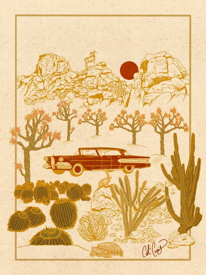 Sente-o. por atacado de Sunrise Via Lola