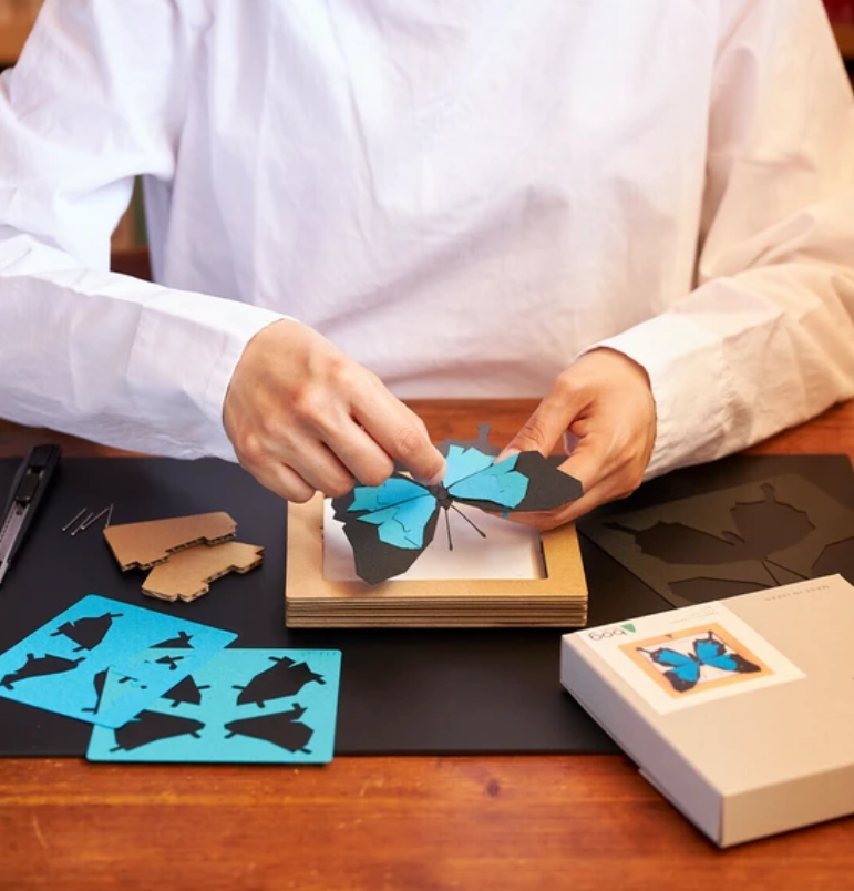 「FUNJI」In Japan - Wholesale DIY Craft Kit - 3D Stag Beetle Paper Craft Kit – Miyama Kuwagata | Japanese 5