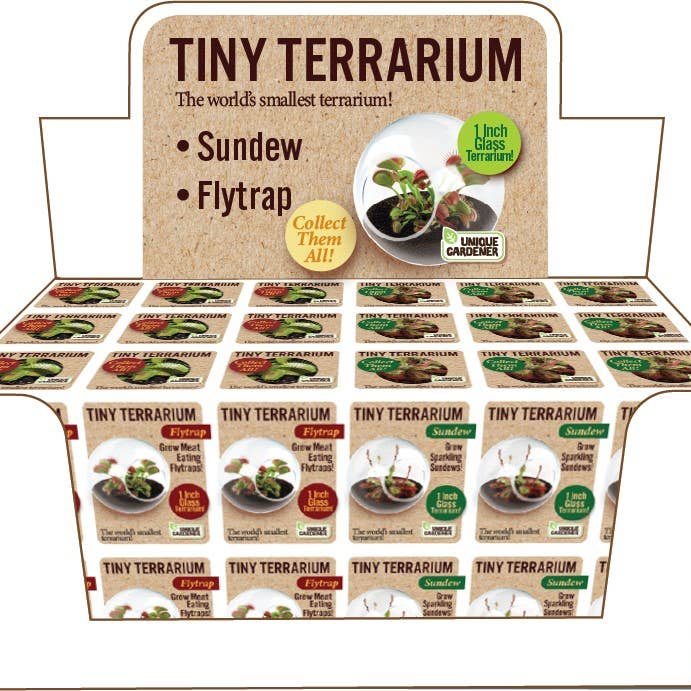 Silver Circle Products - Wholesale Retailer Display - Home & Living - Tiny Terrarium Carnivorous Glass Terrarium Counter Display