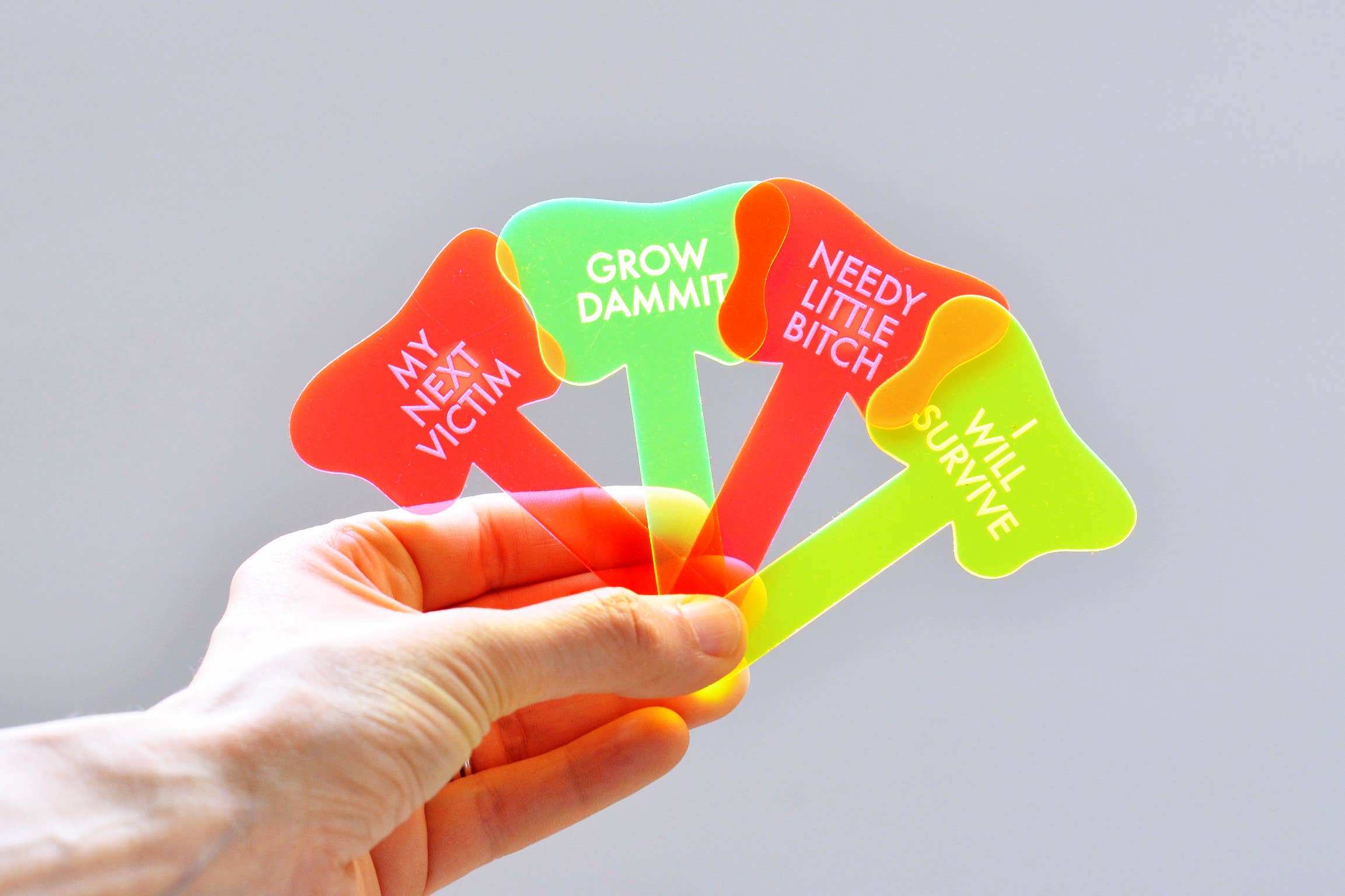 Tuff Girl Gang - Wholesale Plant Pot - NEEDY LITTLE BITCH Plant Stake8