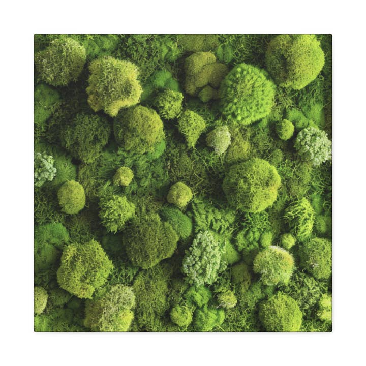 VORA + VINE - Wholesale Wall Decor - Kids & Baby - Living Moss Canvas Print