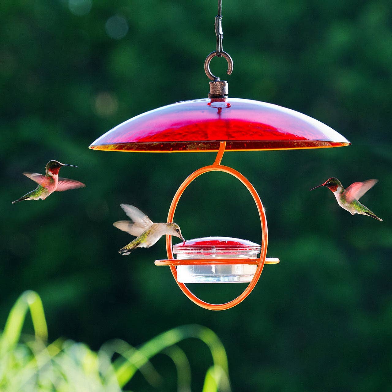 Couronne Co. - Wholesale Bird Feeder - Mosaic Birds Hummble Bold Hummingbird Feeder Orange6