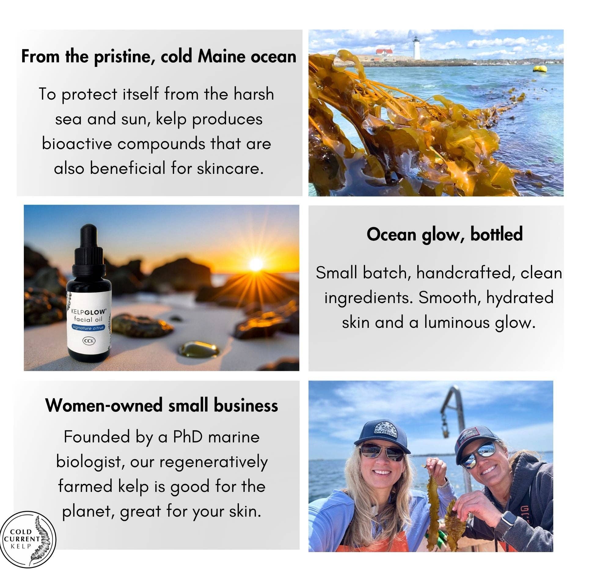 Cold Current Kelp - Wholesale Facial Oil - KelpGlow® Facial Oil (Signature Citrus) - 1 fl oz (30ml)5