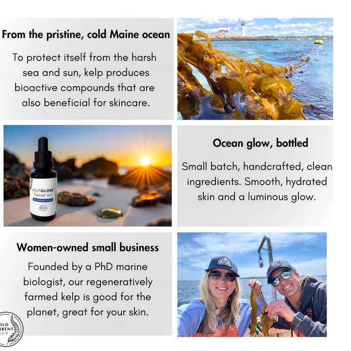 Cold Current Kelp - Wholesale Facial Oil - KelpGlow® Facial Oil (Signature Citrus) - 1 fl oz (30ml)5