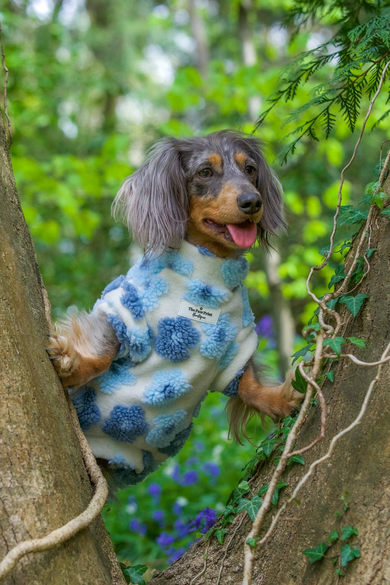The Paw Print Boutique - Wholesale Pet jumper – Dog - The Bluebell Blue Floral Fleece22