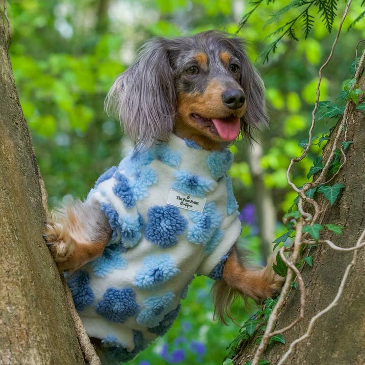 The Paw Print Boutique - Wholesale Pet jumper – Dog - The Bluebell Blue Floral Fleece22