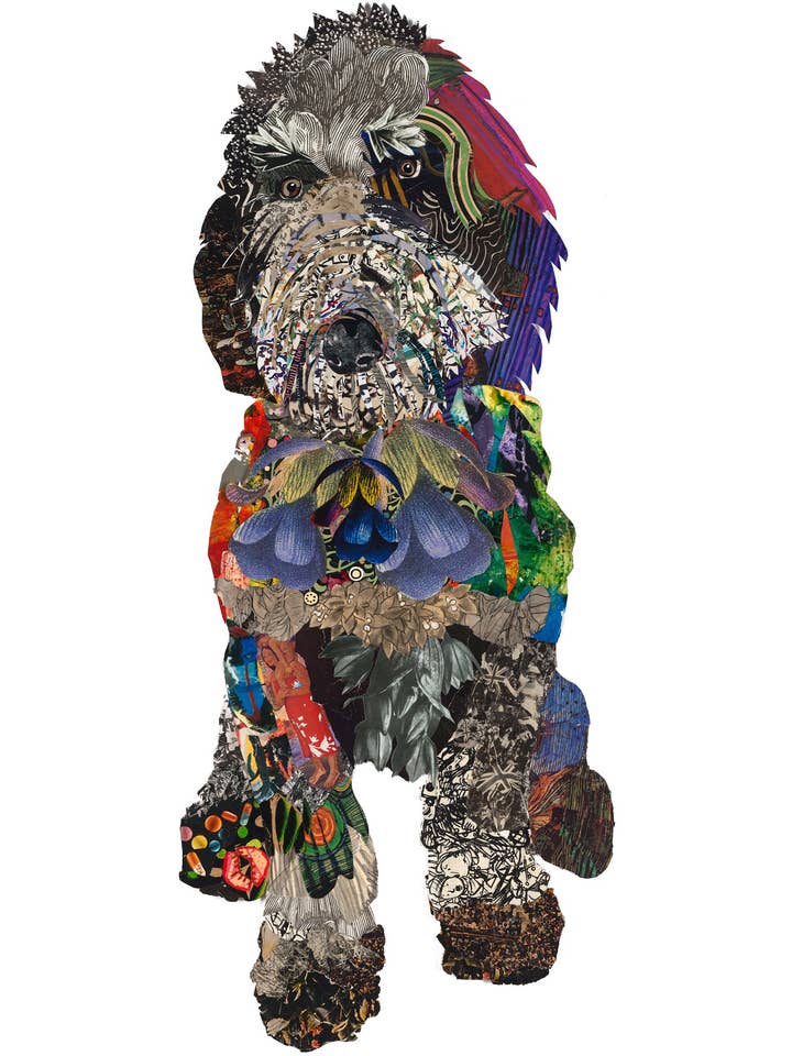 Acrylic Framed Black Doodle Dog Print for wholesale by Brenda Bogart