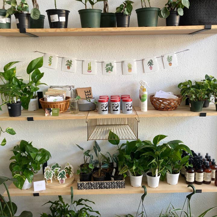 Plant Posse – wholesale Banner – Plant Prayer Flag6