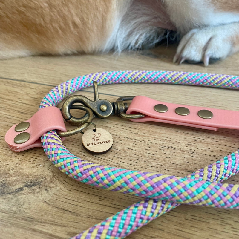 KITSUNE.DOG - Wholesale Pet Leash - Dog - Leave MULTIPOSITION textured paracord / ROSE biothane6