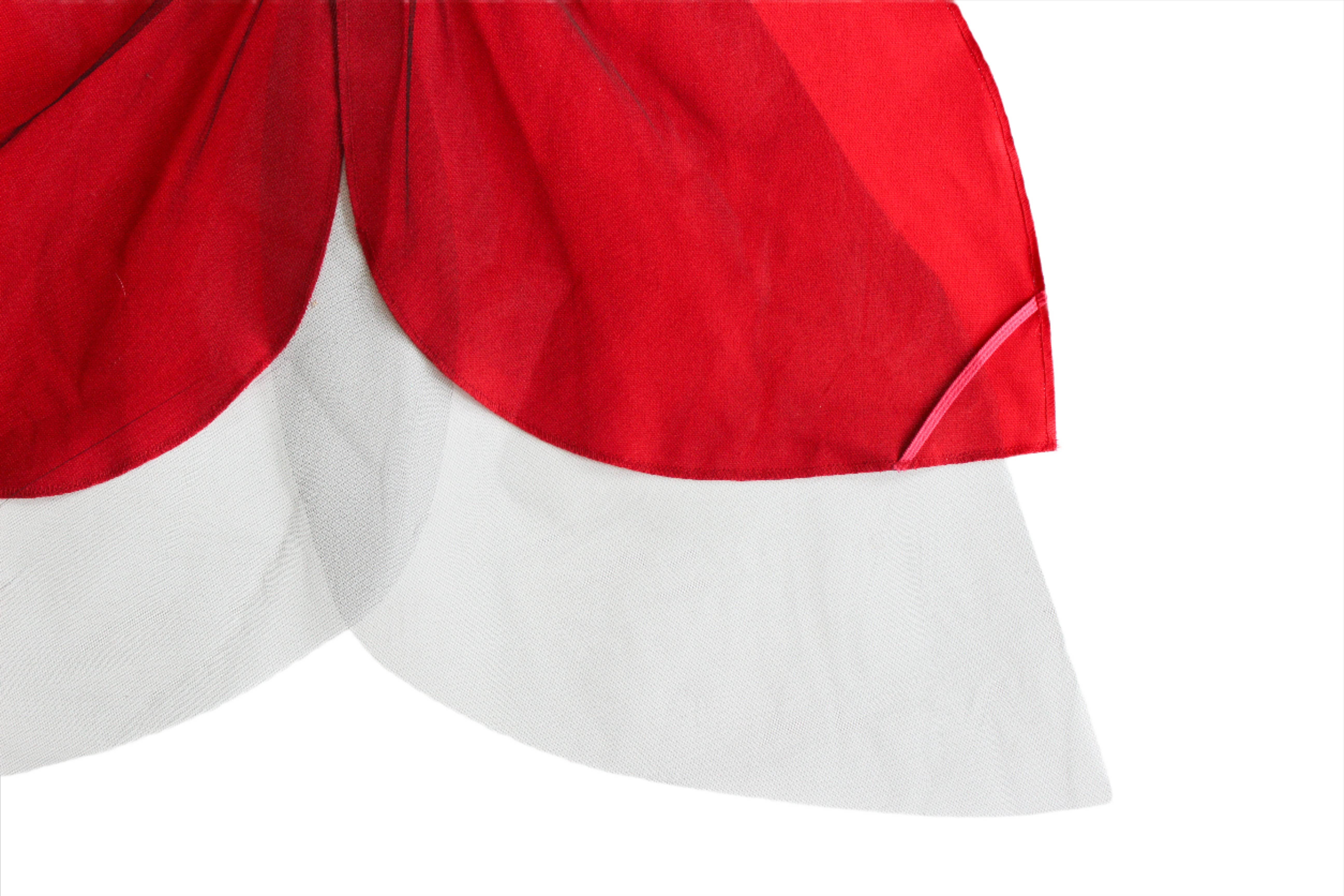 Jack Be Nimble – wholesale Costume – Child – Ladybug Costume Wings9