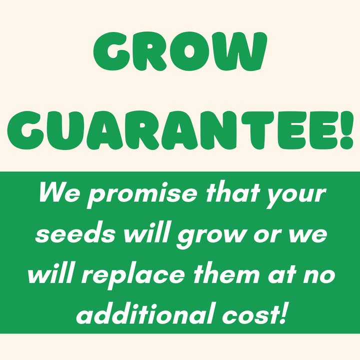 Buzzy Seeds Grow Gifts - Wholesale Plant Seeds - My First Garden Windowsill Grow Kit – Marigold & Tomato3