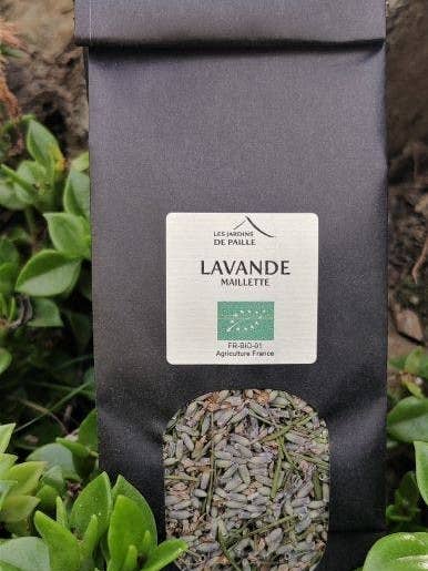 Lavender Real Maillette for wholesale by Les Jardins de Paille
