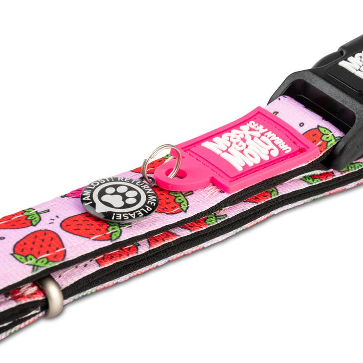 Max & Molly - Wholesale Pet Collar - Dog - GOTCHA! Smart ID Dog Collar - Strawberry Dream1