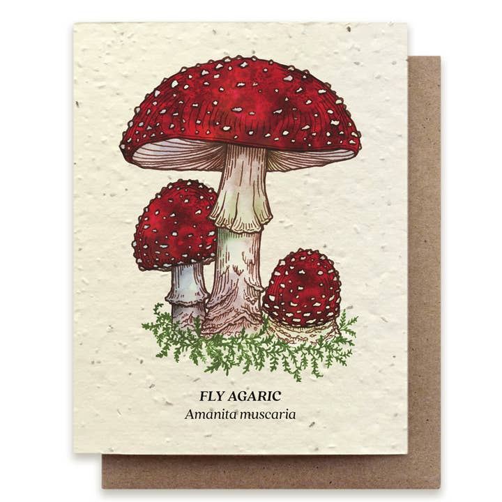 Small Victories - Wholesale Everyday Greeting Card - Fly Agaric Mushroom Plantable Wildflower Seed Card