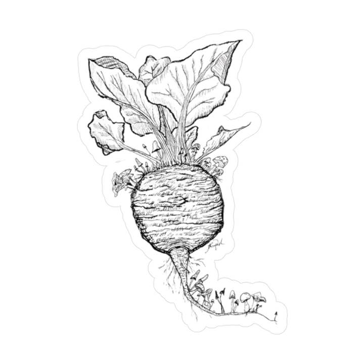 Beet's Mycology for wholesale by Jordan Pugh Art