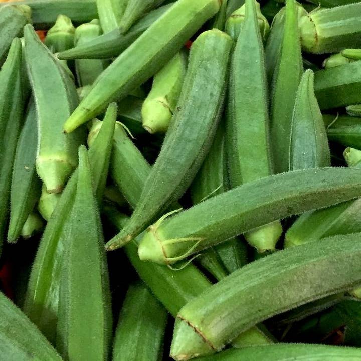 Sow True Seed - Wholesale Plant Seeds - Okra Seeds - Clemson Spineless 80