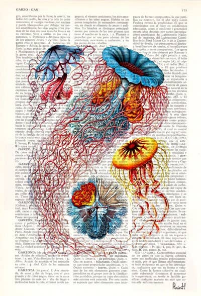 PRRINT! - Wholesale Art Print - Multicolored Jellyfish Dictionary Art Print1