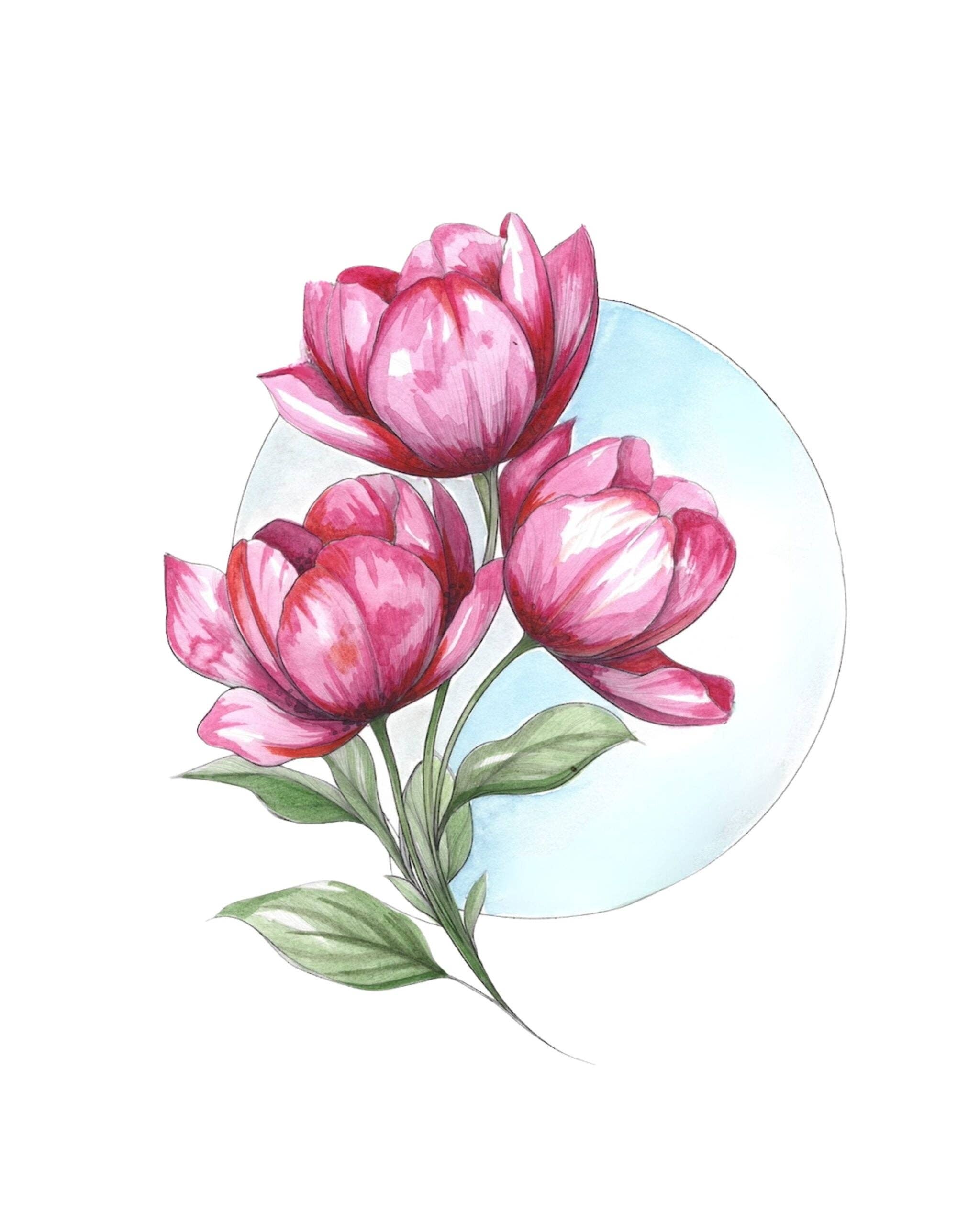 willowwolfe - Wholesale Sketchbook/Sketchpad - Bold Flowers Watercolor Workbook5