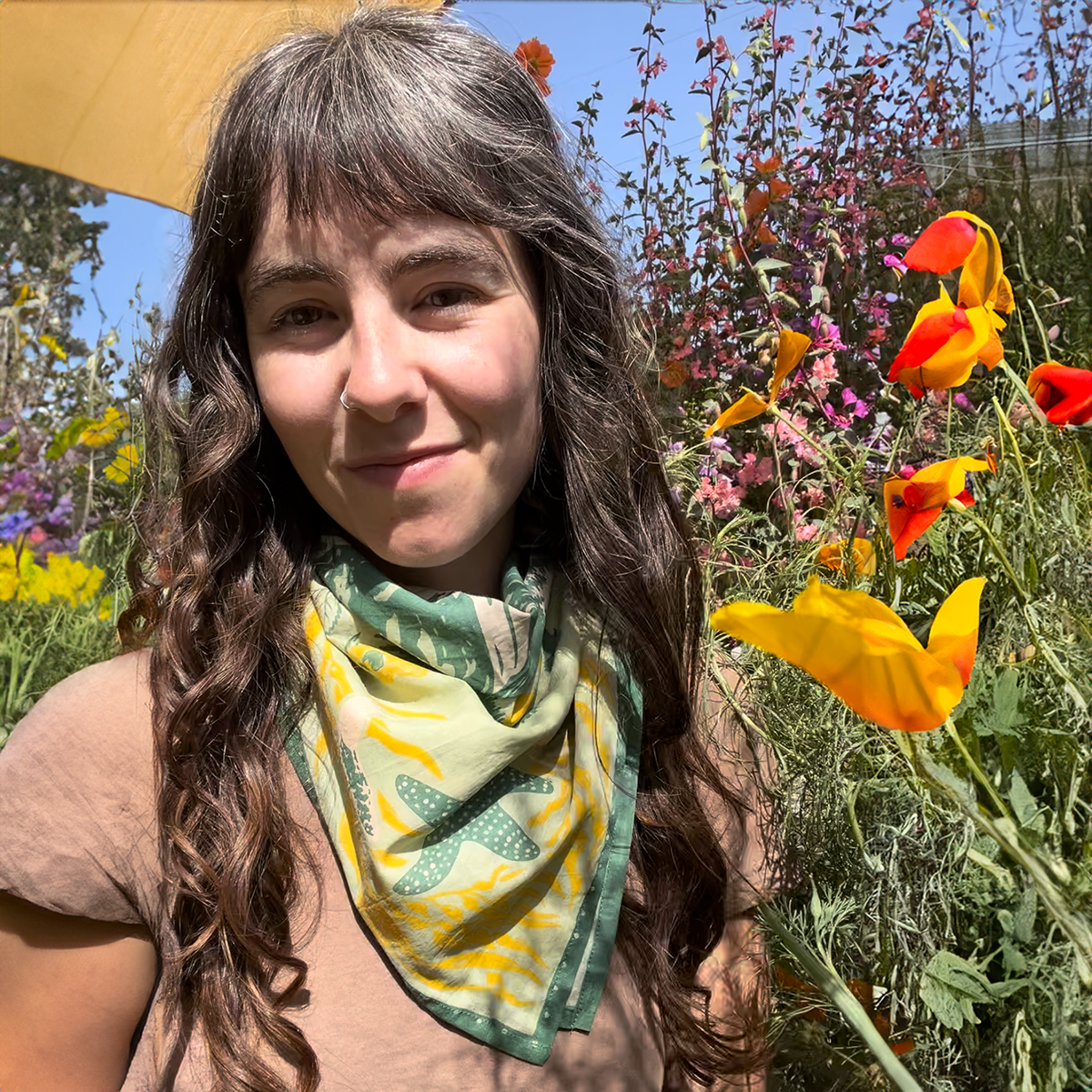 Mustard Beetle - Wholesale Bandana - Women's - Organic Fair Trade Bandana: Pacific Northwest3