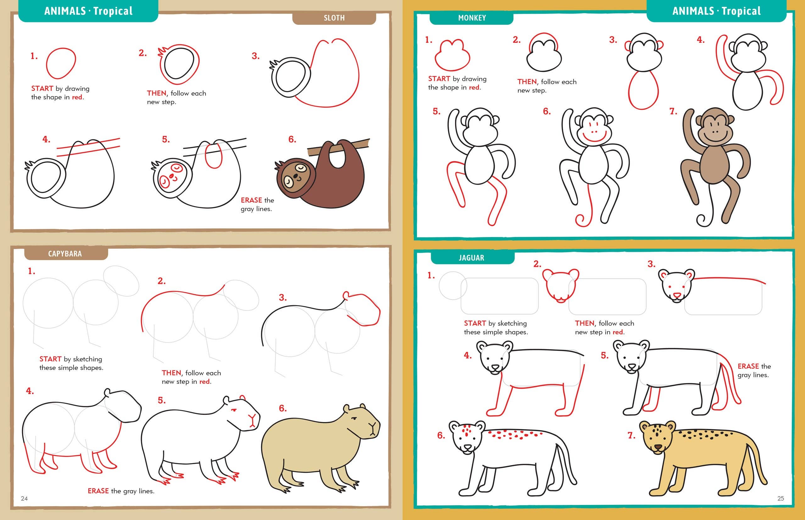 Peter Pauper Press - Wholesale Coloring & Activity Book - Adult - Learn to Draw . . . Everything!2