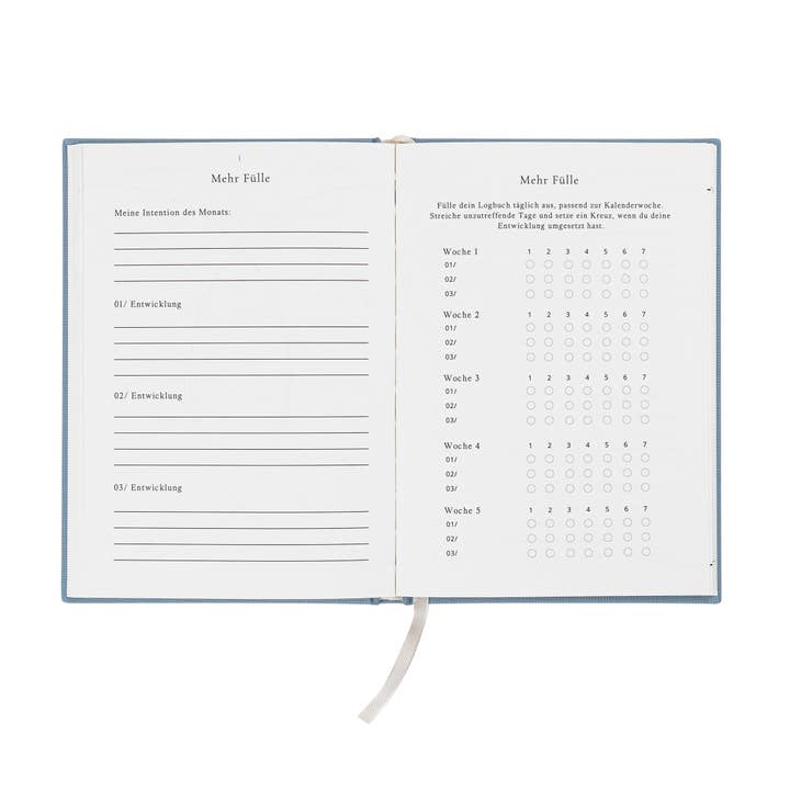 The Life Barn - Wholesale Journal Cover - THE LIFE BARN Abundance Journal light blue8