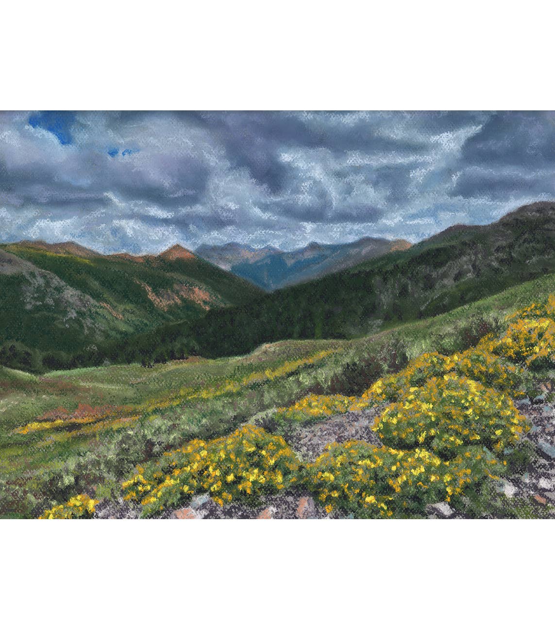 Duck Girl Art - Wholesale Art Print - Yellow Wildflowers Mountains Silverton Art Print