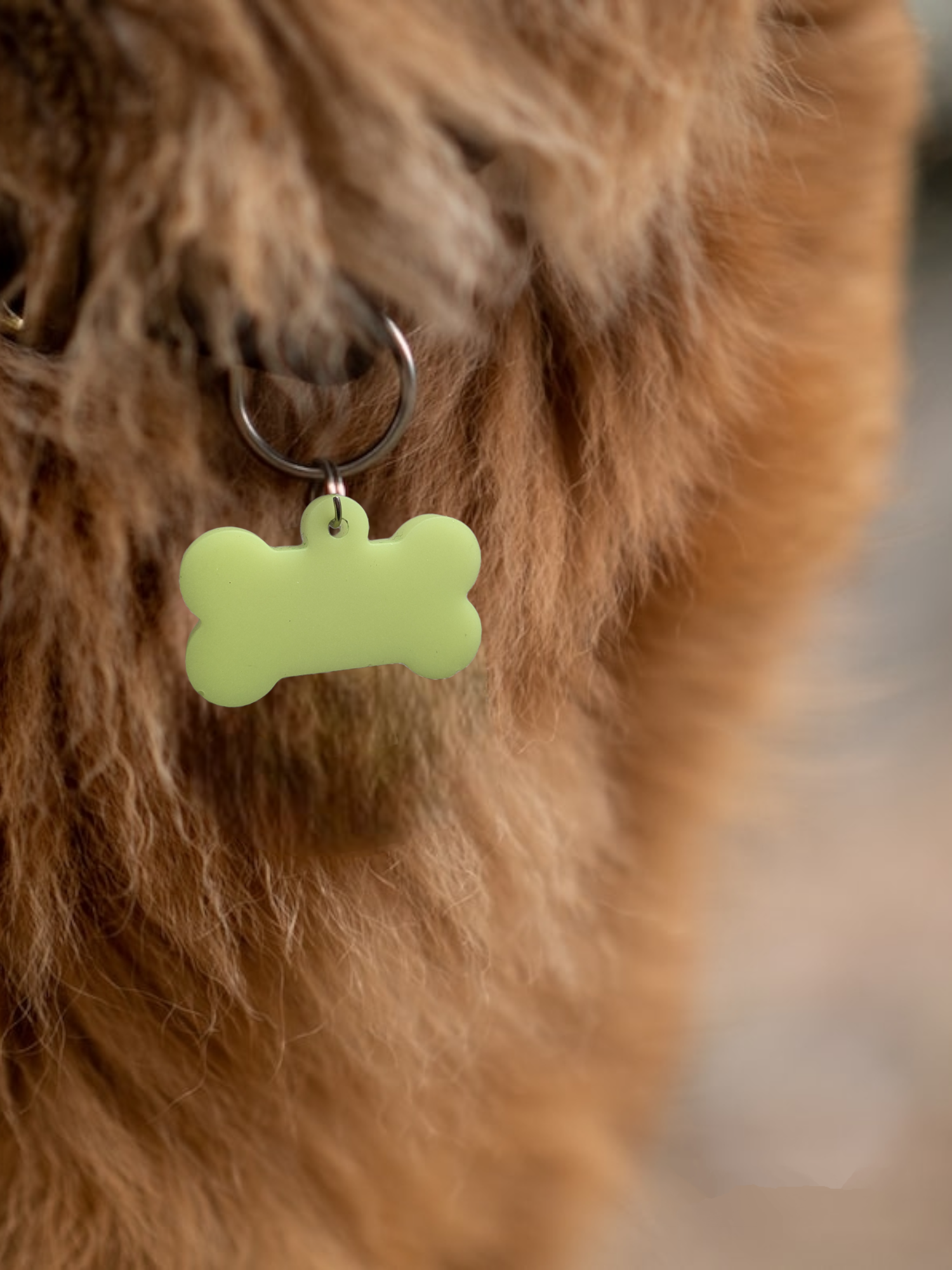 IT GLOWS - Wholesale Pet Identification Tag - Dog - Glow in The Dark Pet Tags/GloPetTag/Dog ID Pet tags/Cat ID Pet Tags/Pet Gift/Engraved Pet tags/Pet name Tag/ID Tag/Glow Key Fob0