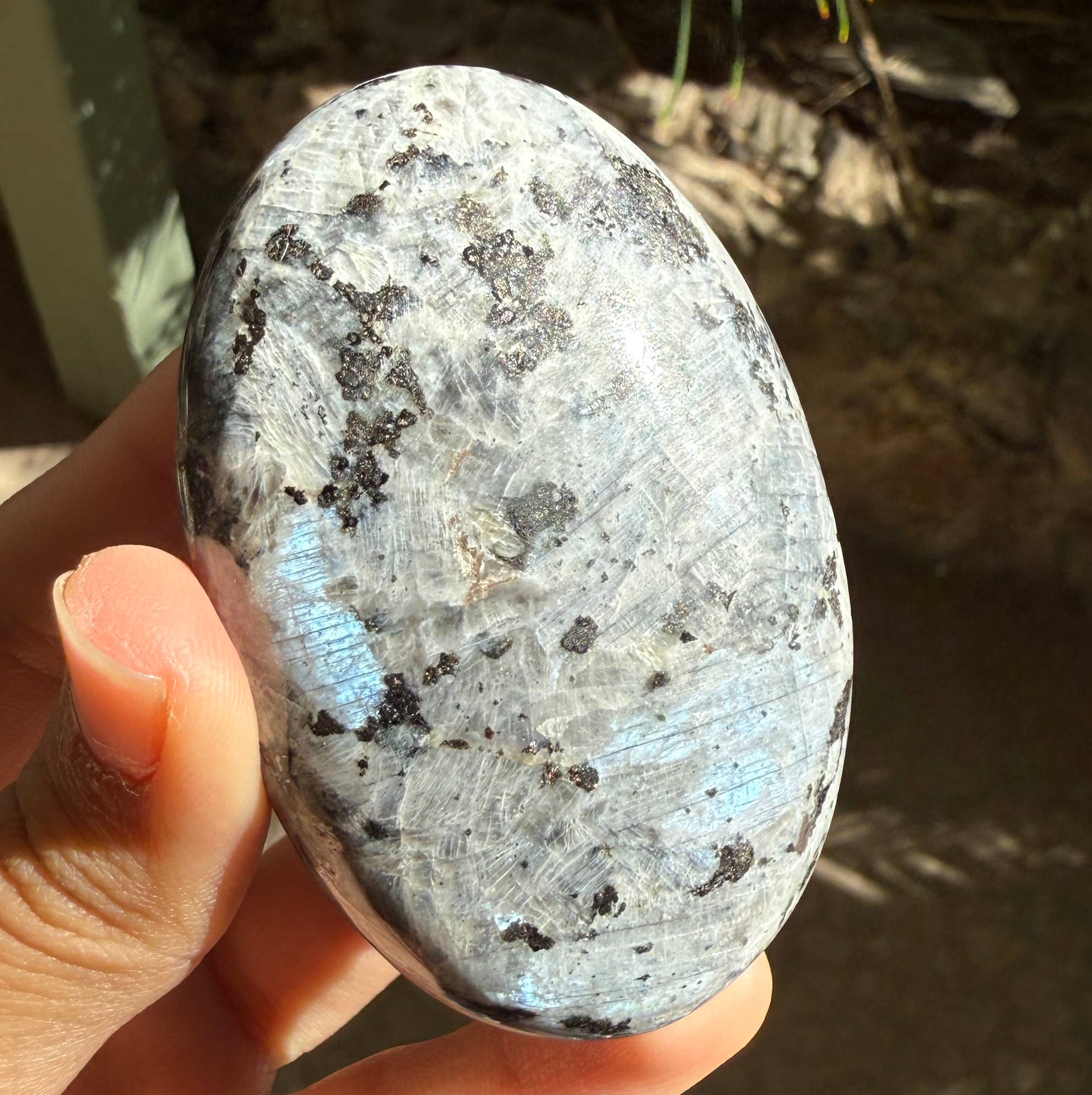 ZeeRocks – wholesale Andlig sten/kristall – Larvikit Palmstenar5