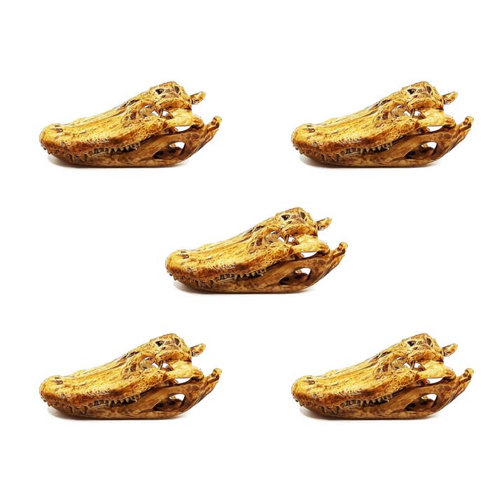 The Scale Grail - Wholesale Decorative Figurine - Alligator Skull - 1:24 scale replica reptile skull for diorama, miniature horror scenes, dollhouse and action figure photography (set of 5)