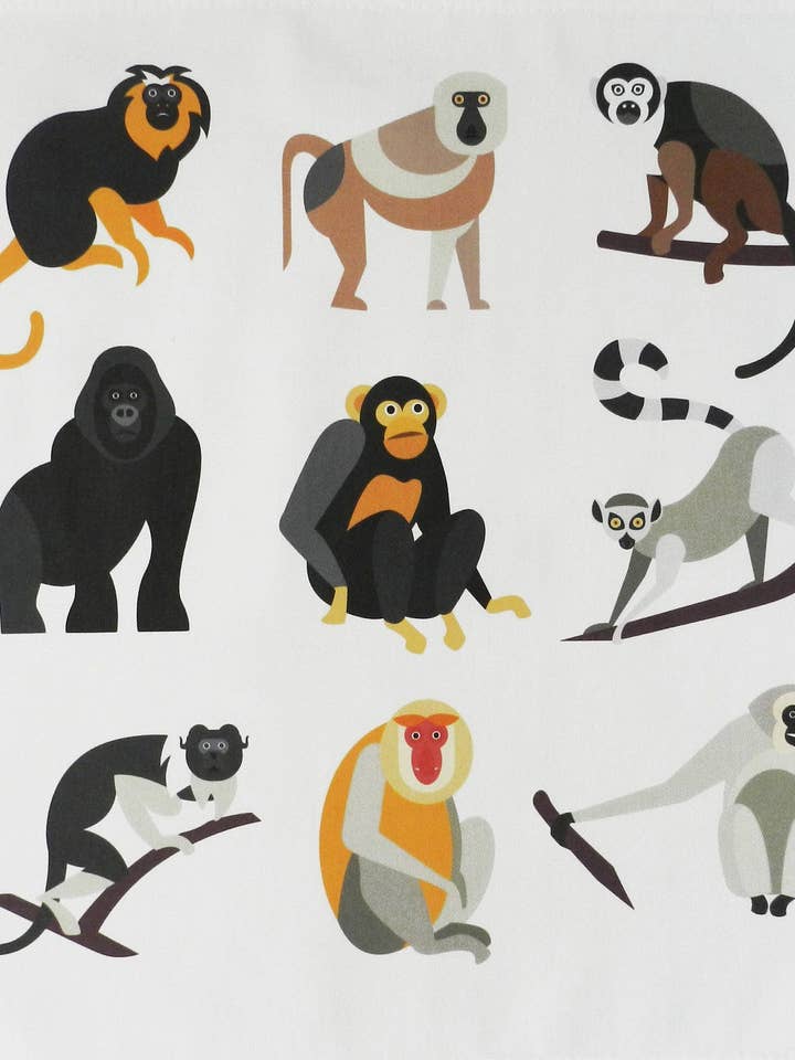 The Monkey, Ape and Gorilla Collection - Retro Style Large C for wholesale by Half a Donkey