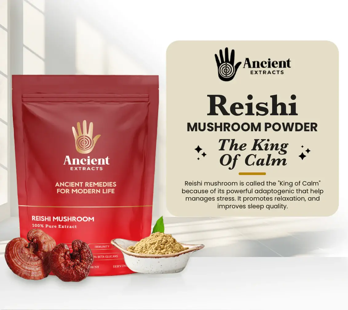 Ancient Extracts Ltd – wholesale Protein/superfood powder – Detox Pair - Raw Shilajit Resin and Reishi Mushroom Extract5