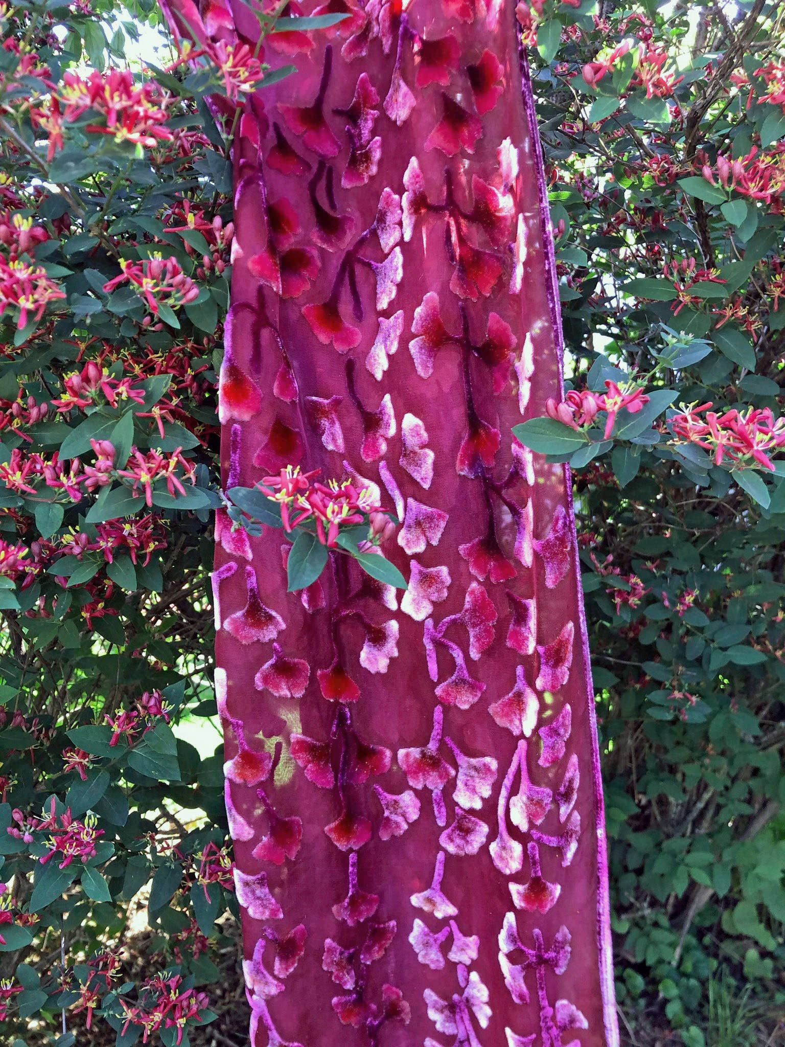 Sherit Levin Textiles - Wholesale Scarf - Women's - Hand Painted Devoré Silk Velvet Floral Fuchsia Scarf4